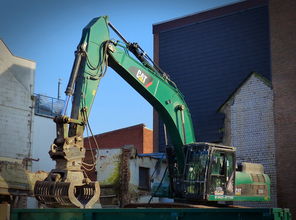 史上巨兽十大排名,地表十大巨兽排名