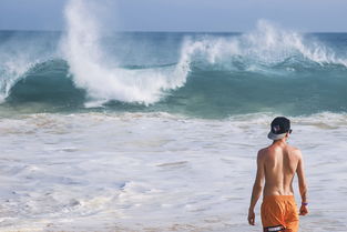 世界上最纯粹力量，世界上最纯粹力量的人