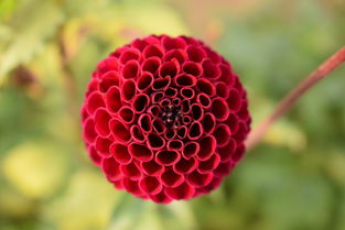 世界上最珍贵液体，世界上最珍贵液体是什么