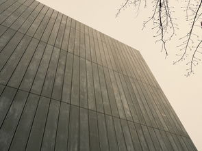 莫桑钻进口十大排名，莫桑钻进口的和国产的区别