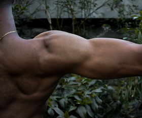 世界前十健美运动项目,世界前十健美运动项目有哪些