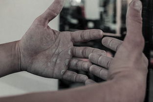 世界前十健美运动项目,世界前十健美运动项目有哪些